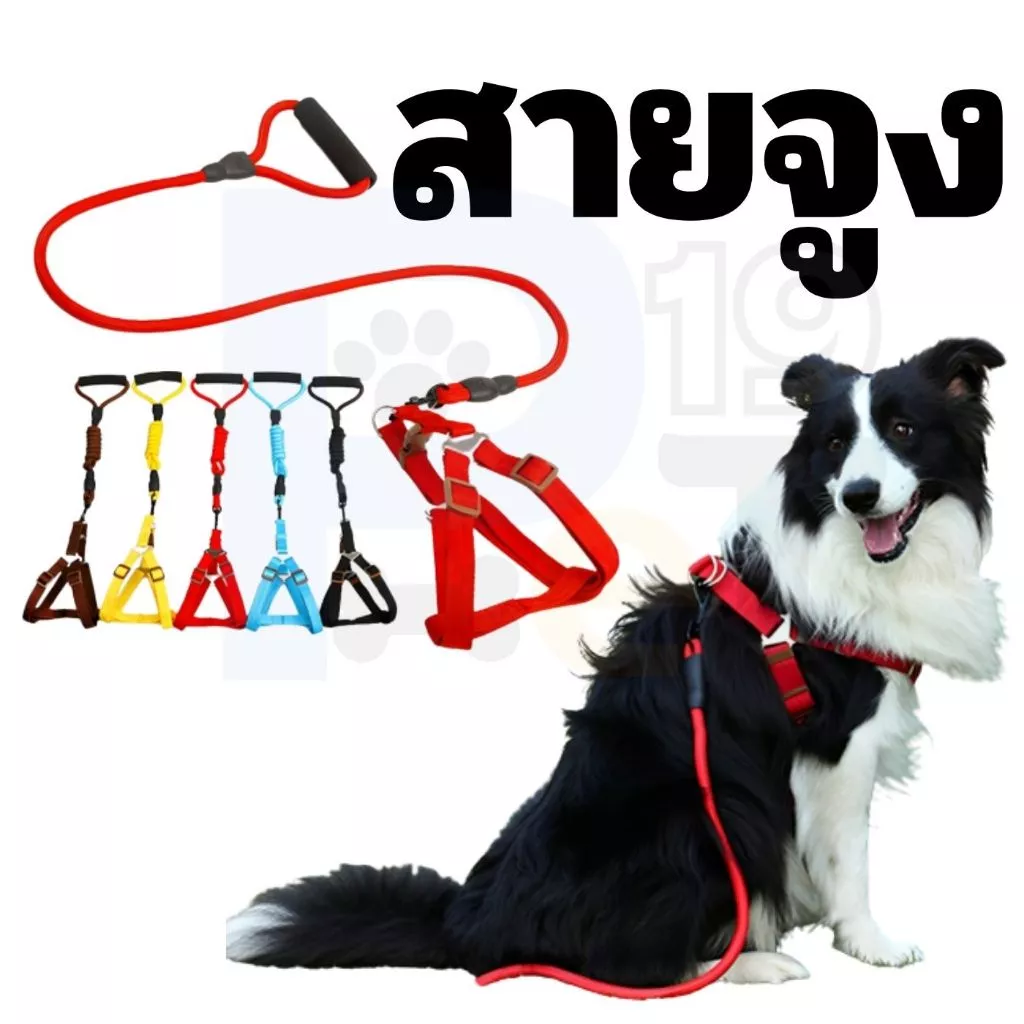 Pet19 สายรัดอกสุนัข จูงสุนัข จูงหมา ทำจากไนล่อนคุณภาพสูง เชือกหมา สายคาดอกหมา พร้อมที่จับแบบนุ่มมือ