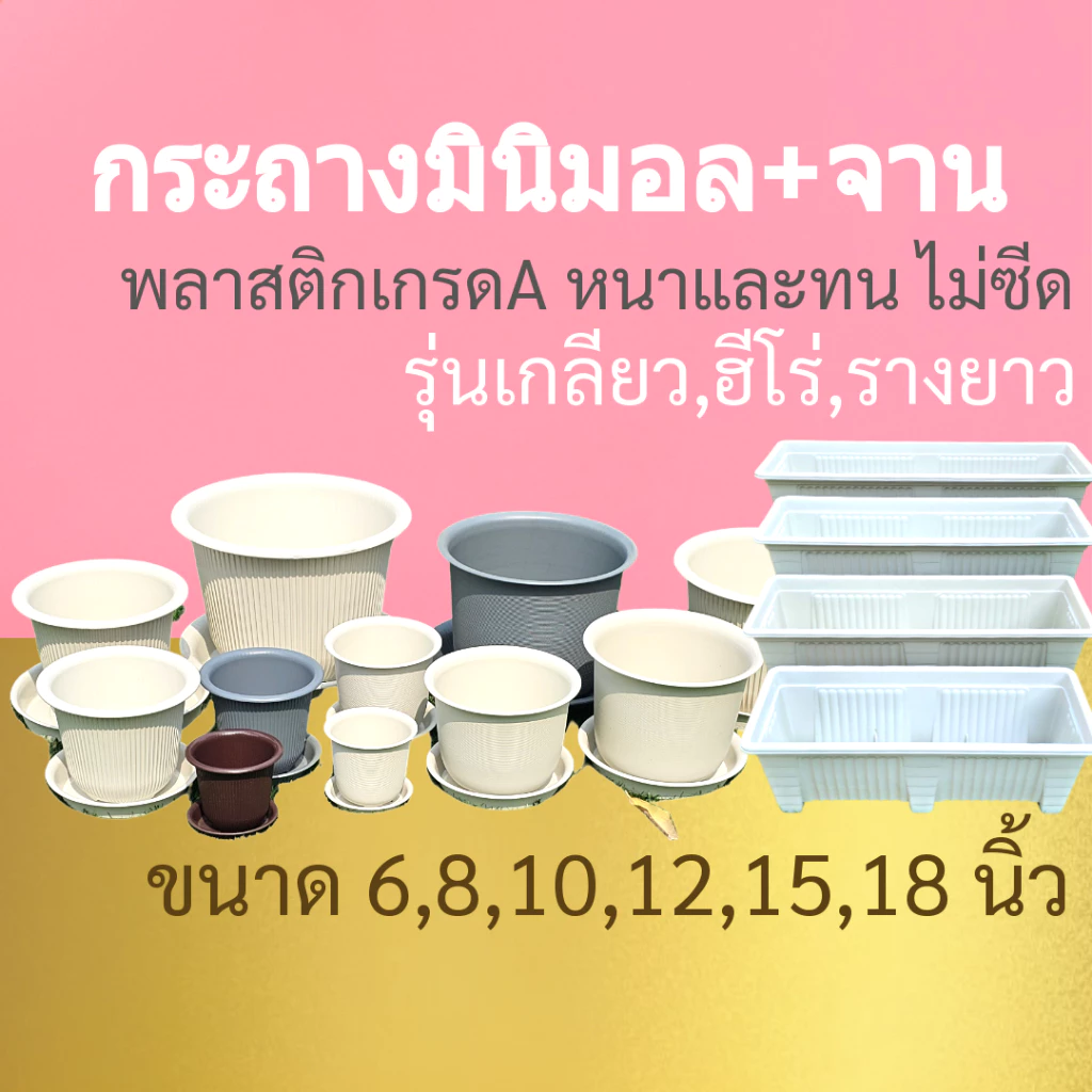 กระถางพร้อมจานรอง กระถางฮีโร่ กระถางเกลียว กระถางราง ขนาด 6 8 10 12 15 18 นิ้ว กระถางเบลล่า กระถางญาญ่า กระถางบิ้วตี้ — ของมงคลหมวดบ้านและฮวงจุ้ย