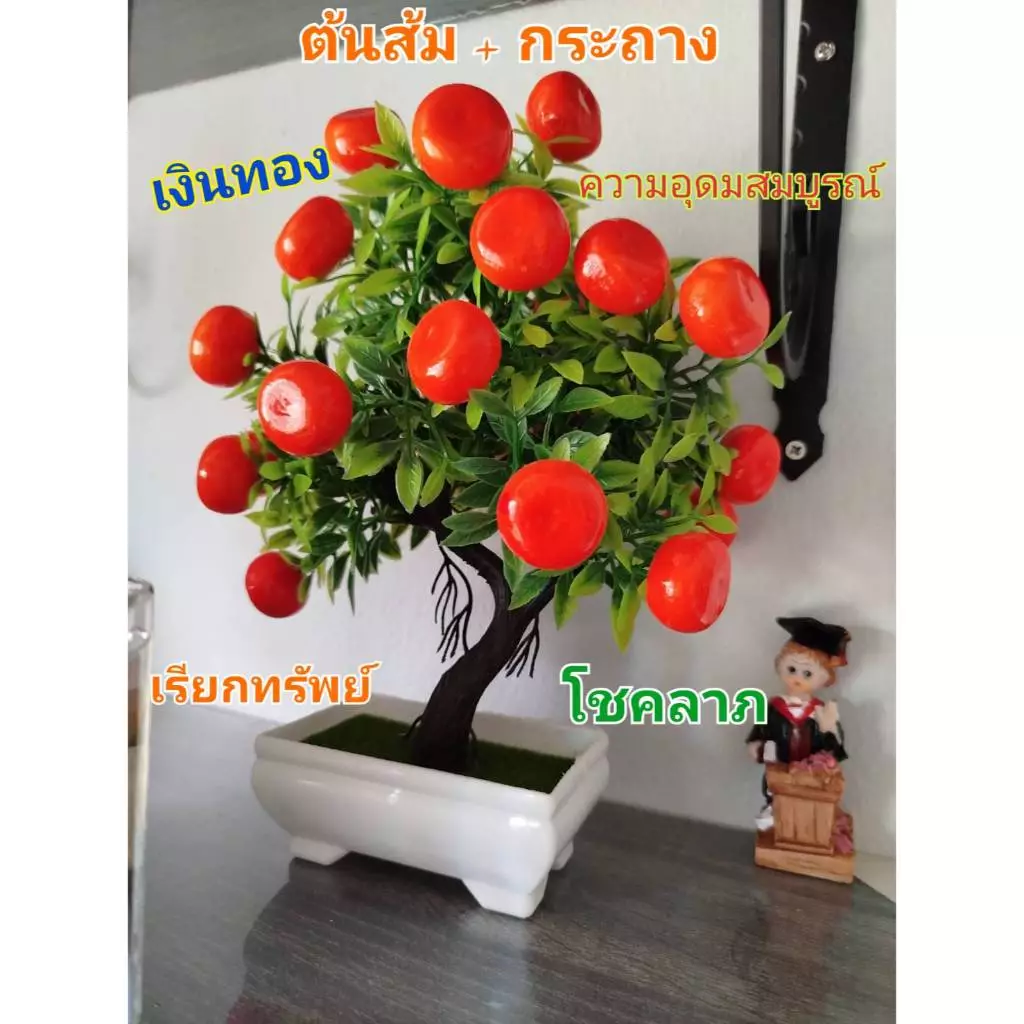 ต้นส้ม ต้นส้มไทรใหญ่ๆๆ พร้อมกระถาง ต้นไทรใหญ่ .🍊ต้นส้มปลอม เรียกทรัพย์ เสริมฮวงจุ้ยต้นส้มมงคล เรียกทรัพย์ โชคลาภ เงิน — ของมงคลหมวดบ้านและฮวงจุ้ย