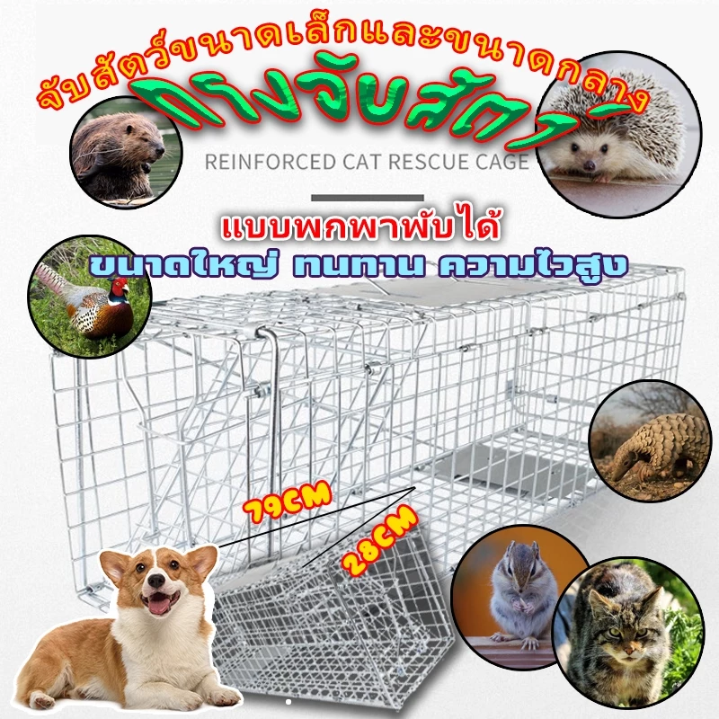 ส่งของในไทย กรงดักแมว กรงดักแมว ส เหล็กเส้น จับแมวจรจัด ดักจับแมวจร CatTrap กับดักแมว