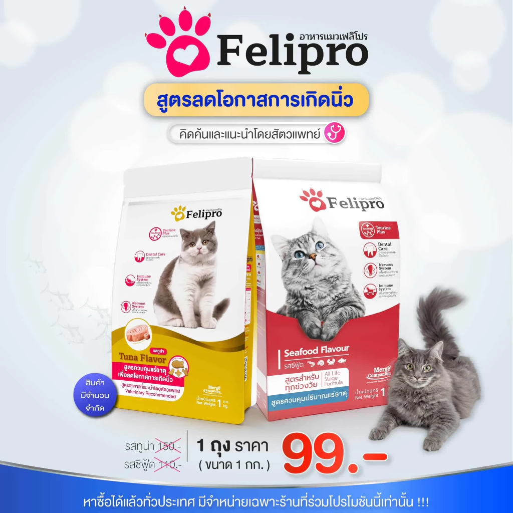 ราคาพิเศษ ถุงแดงรุ่นถุงไม่มีซิปล๊อก เฟลิโป Felipro Cat Food Seafood Flavour เฟลิโปร อาหารแมว รสทูน่า และรสซีฟู๊ด 1kg.