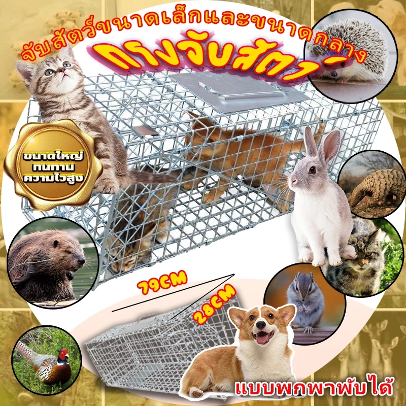 จัดส่งจากกรุงเทพ กรงดักแมว CatTrap สามารถพับได้ แข็งแรง จับแมว ดักจับแมว กรงดักแมว ดักจับแมวจร