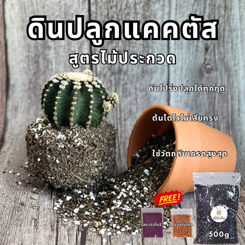 ดินปลูกแคคตัส 500g และ1kg แถมฟรีออสโมโค้ทและสตาร์เกิ้ลจี ดินปลูต้นไม้ ดินปลูกไม้อวบน้ำ ดินปลูกกุหลาบหิน ดินปลูกไม้ประดับ — ของมงคลหมวดบ้านและฮวงจุ้ย
