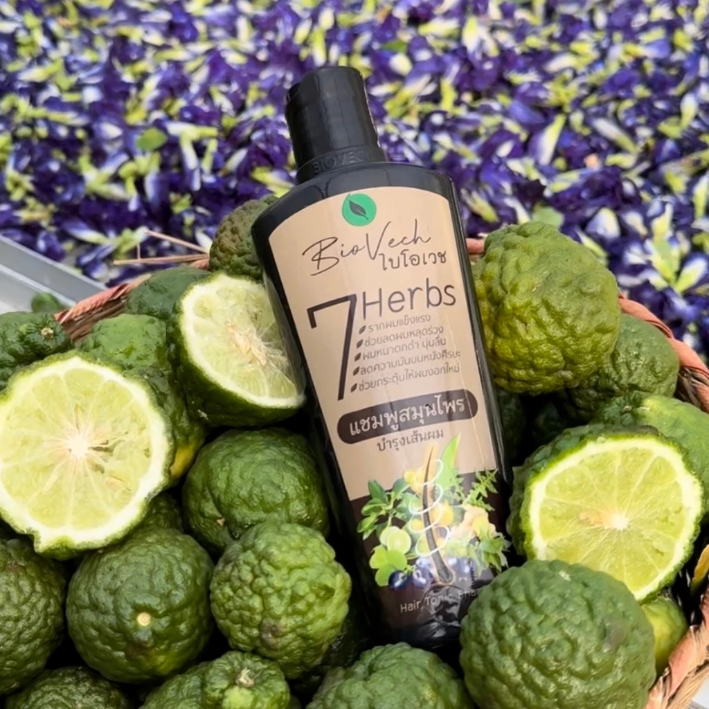 แชมพูไบโอเวช สมุนไพรสด7ชนิด (Shampoo Biovech)