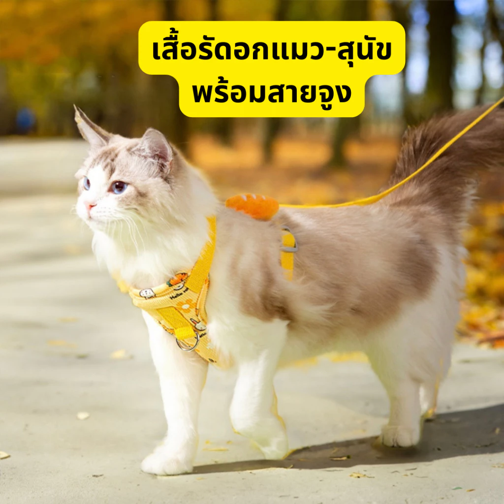 [Clearance] สายจูงหมา-แมว สายรัดอกหมา-แมว สามารถปรับระดับได้