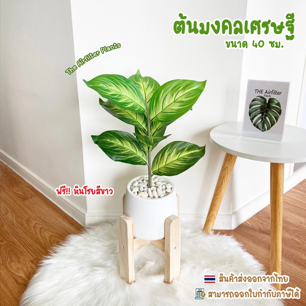 ต้นไม้ปลอม(ฟรี!!หินโรย) ต้นมงคลเศรษฐีสูง35-45ซม. ตั้งหน้าทีวี ตั้งโต๊ะและหัวเตียง ต้นไม้มงคล พร้อมกระถางและหินสีขาว — ของมงคลหมวดการงานและธุรกิจ