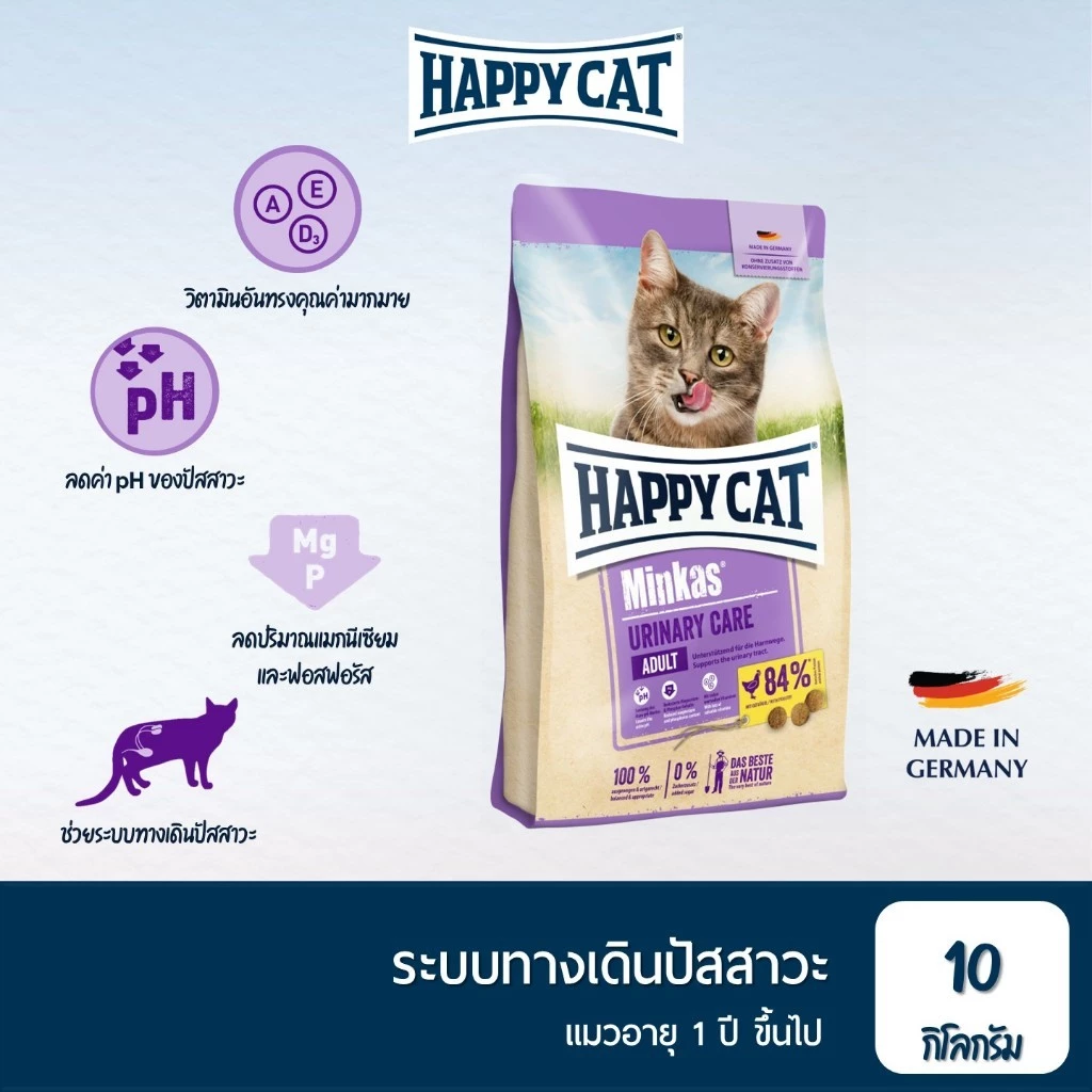 Happy cat