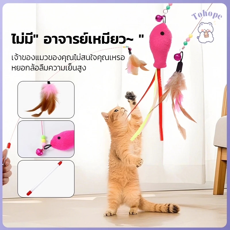 ไม้ตกแมว ของเล่นแมว ไม้ล่อแมว ทีเซอร์แมวยาว Cat Toys ไม้แมว ไม้ตกแมวแบบสปริง ดึงดูดแมวให้มาเล่น สนุกและปลอดภัย
