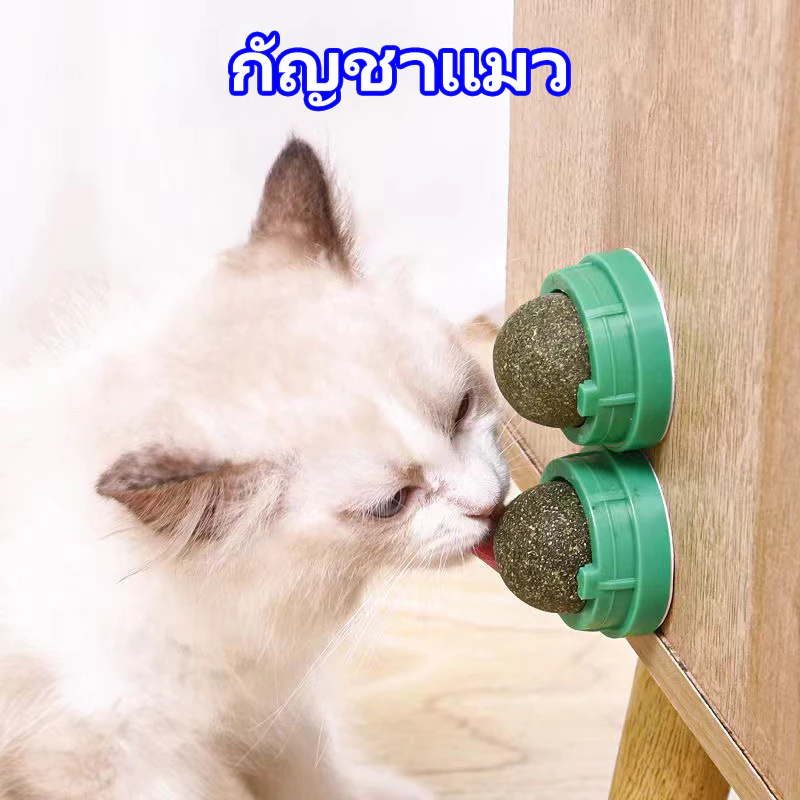 กัญชาแมว หญ้าแมว กันชาแมว กัญชาเเมว แคทนิปแมว catnip ball กันชาแมวส่งฟรี กัชชาแมว กันชาแมวเลีย แคทนิปบอล ติดกำแพง