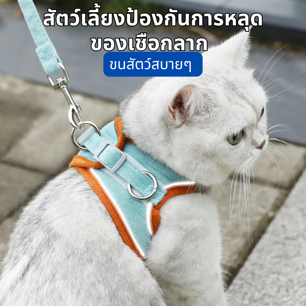 เชือกจูงแมววัสดุเรืองแสงจูงแมวจูงแมวจูงแมวจูงแมวจูงแมวจูงแมวจูงแมวจูงแมว