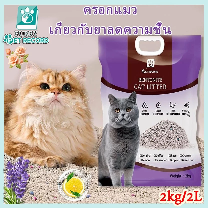 ส่งฟรี ทรายแมวเต้าหู้6L ครอกแมวผสม Tofu🔥ดูดซับไว กลบกลิ่นได้ดีมาก🔥ทรายแมวเบนโทไนท์2L/2kg พร้อมจัดส่งด่วน