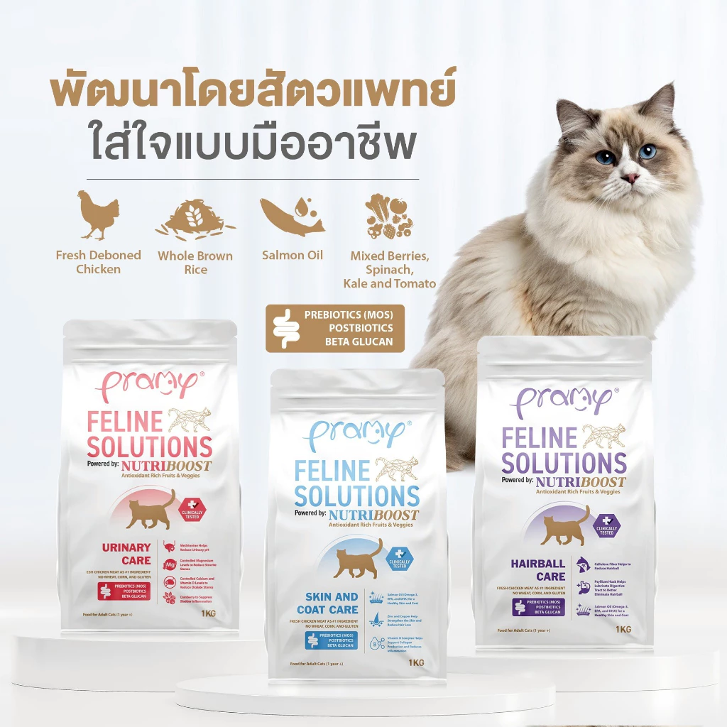 Pramy Feline Solutions อาหารแมวสูตรเฉพาะทาง พัฒนาโดยสัตวแพทย์ ตอบโจทย์น้องแมวที่มีปัญหาสุขภาพ