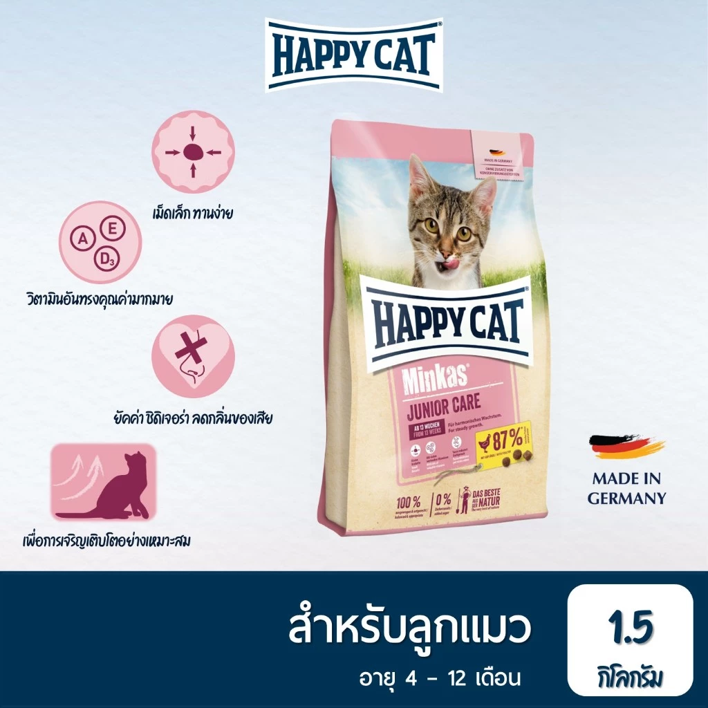 Happy cat
