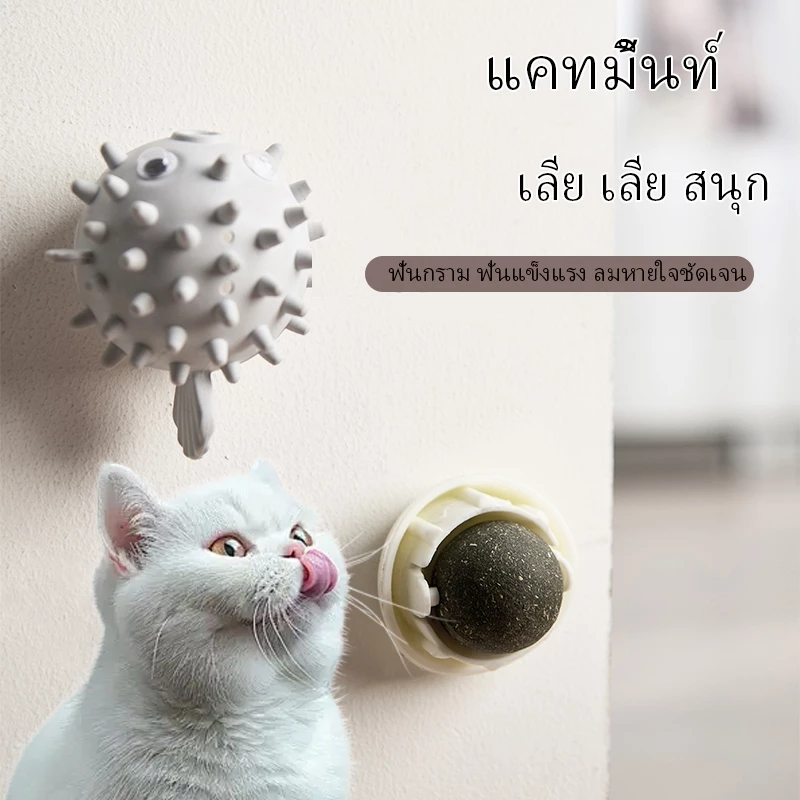 กัญชาแมว หญ้าแมว กันชาแมว กัญชาเเมว แคทนิปแมว catnip ball กันชาแมวส่งฟรี กัชชาแมว กันชาแมวเลีย แคทนิปบอล ติดกำแพง