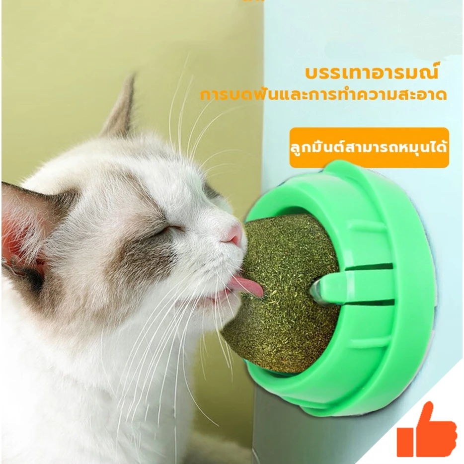กัญชาแมว😸หญ้าแมว กันชาแมว กัญชาเเมว แคทนิปแมว catnip ball กันชาแมวส่งฟรี กัชชาแมว กันชาแมวเลีย แคทนิปบอล ติดกำแพง