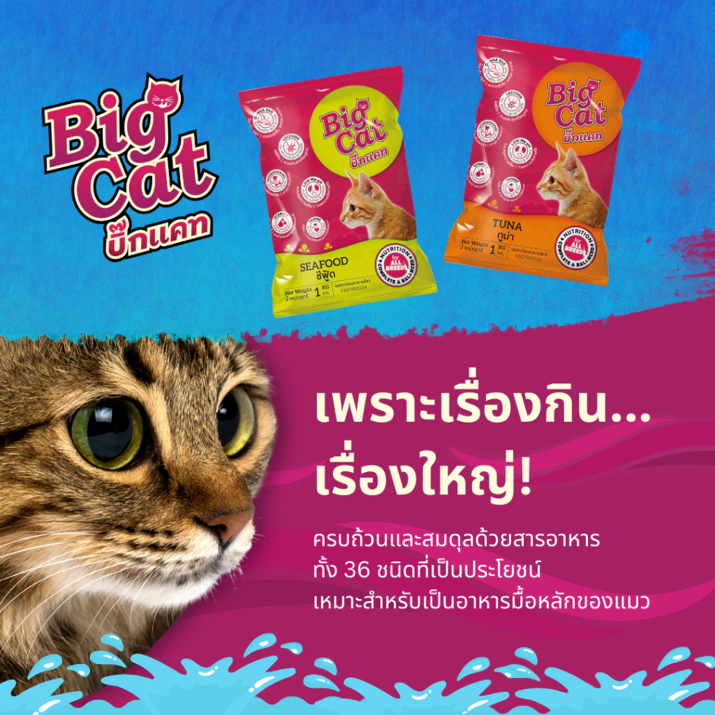 บิ๊กแคท (1กก) BIG CAT อาหารแมวโตโภชนาการครบถ้วน ไม่เค็ม