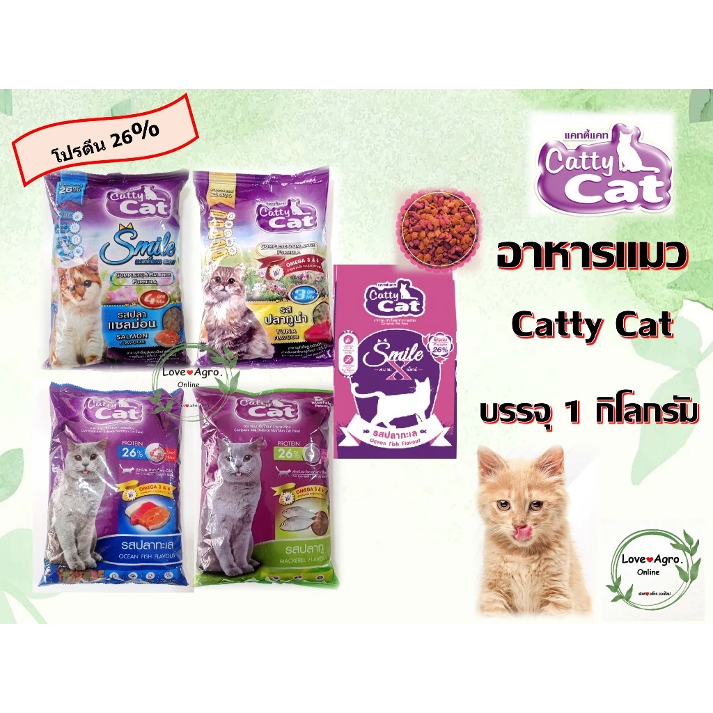 อาหารแมวราคาถูก Catty Cat แคทตี้แคท แบบเม็ด บรรจุ 1 กิโลกรัม