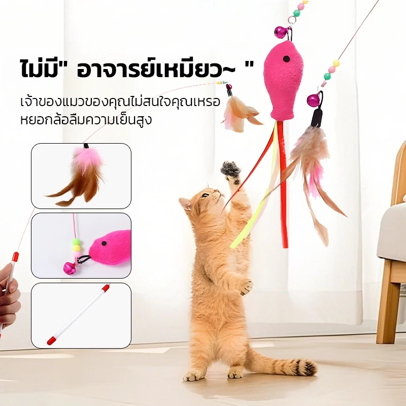 ของเล่นแมว ไม้ตกแมว ไม้ล่อแมว ไม้ตบแมว ไม้แมว ของเล่นแมว ของเล่นเเมว ขอเล่นแมว ขนนกแมว ขนไก่แมว สนุกสนานและปลอดภัย