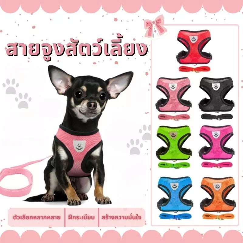 สายจูงรัดอกสัตว์เลี้ยง หมา แมว สายจูงสุนัข แมว เสื้อรัดอก สายจูง หมา แมว ราคาถูก พร้อมส่ง มีหลายสีให้เลือก มีหลายขนาด