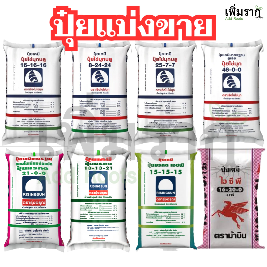 ปุ๋ยแบ่งขาย สูตรยอดนิยม ปุ๋ย16-16-16 / ปุ๋ย46-0-0 / ปุ๋ย8-24-24 / ปุ๋ย15-15-15 / ปุ๋ย25-7-7 / ปุ๋ย21-0-0 / ปุ๋ย13-13-21 — ของมงคลหมวดบ้านและฮวงจุ้ย