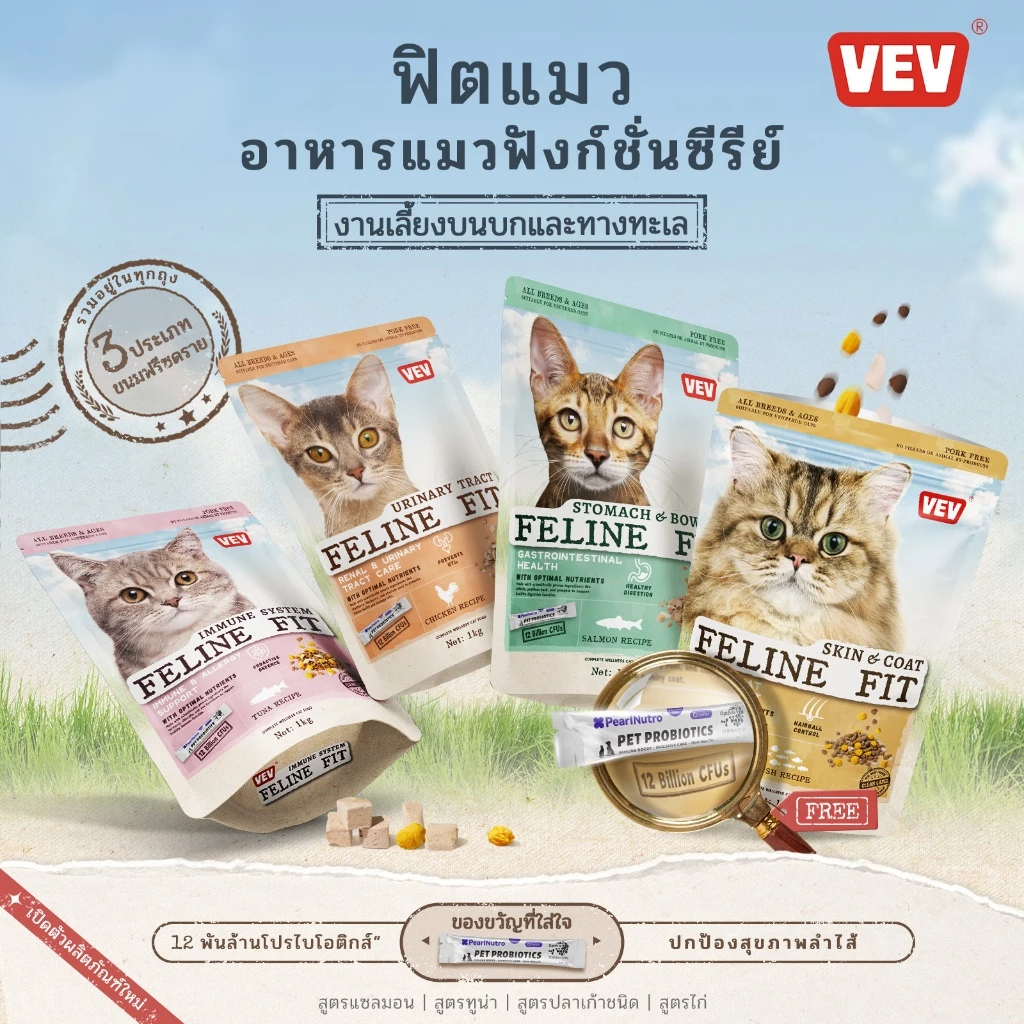 【โปรไบโอติกส์ฟรี】VEV แบ่งขาย 1 kg. Premium Cat Food Gluten Free