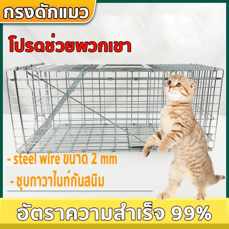 CatTrap กรงดักแมว กรงดักแมวคะ(ไซส์m- xxL) ส เหล็กเส้น ชุบกาวาไนท กันสนิม พับได้ จับแมวจรจัด จับแมว ดักจับแมว