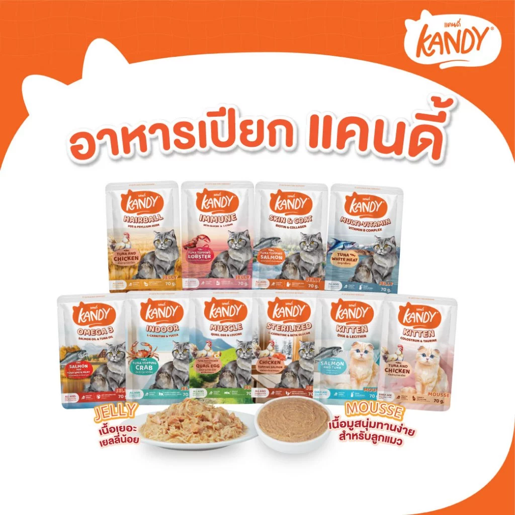 [1 ซอง] Kandy Cat Wet Food 70g. อาหารแมวแคนดี้ ชนิดเปียก ขนาดซองละ 70 กรัม มีให้เลือก 10 สูตร