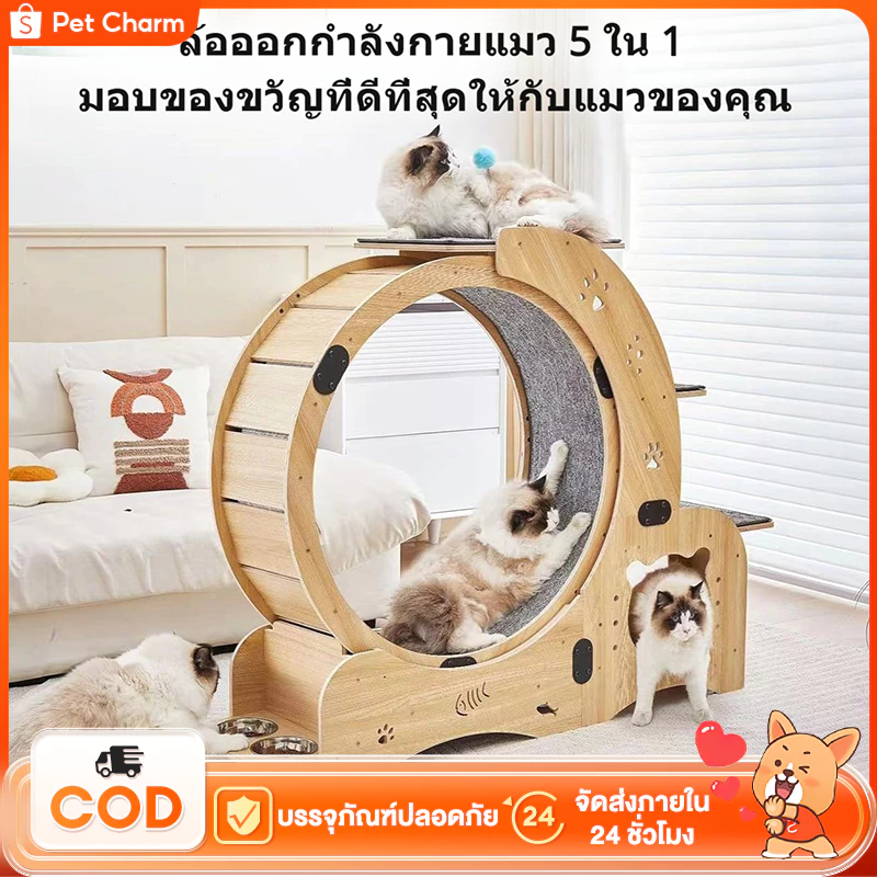 แมวออกกําลังกายล้อแมววิ่งล้อแมวลู่วิ่งล้อออกกําลังกายแมวล้อสําหรับในร่มแมว
