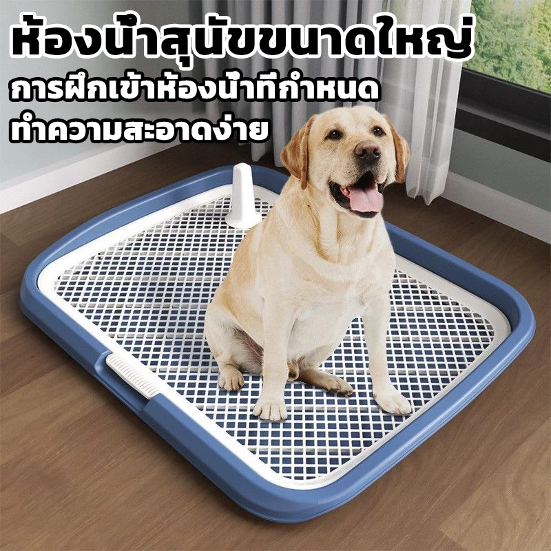 ห้องน้ำหมาขอบสี่เหลี่ยม ห้องน้ำสุนัข ถาดฉี่สุนัข มีเสาถอดได้ มีตะแกรงรองถาด ห้องน้ำหมา ถาดรองฉี่หมา เปลี่ยนแผ่นเปลี่ยน