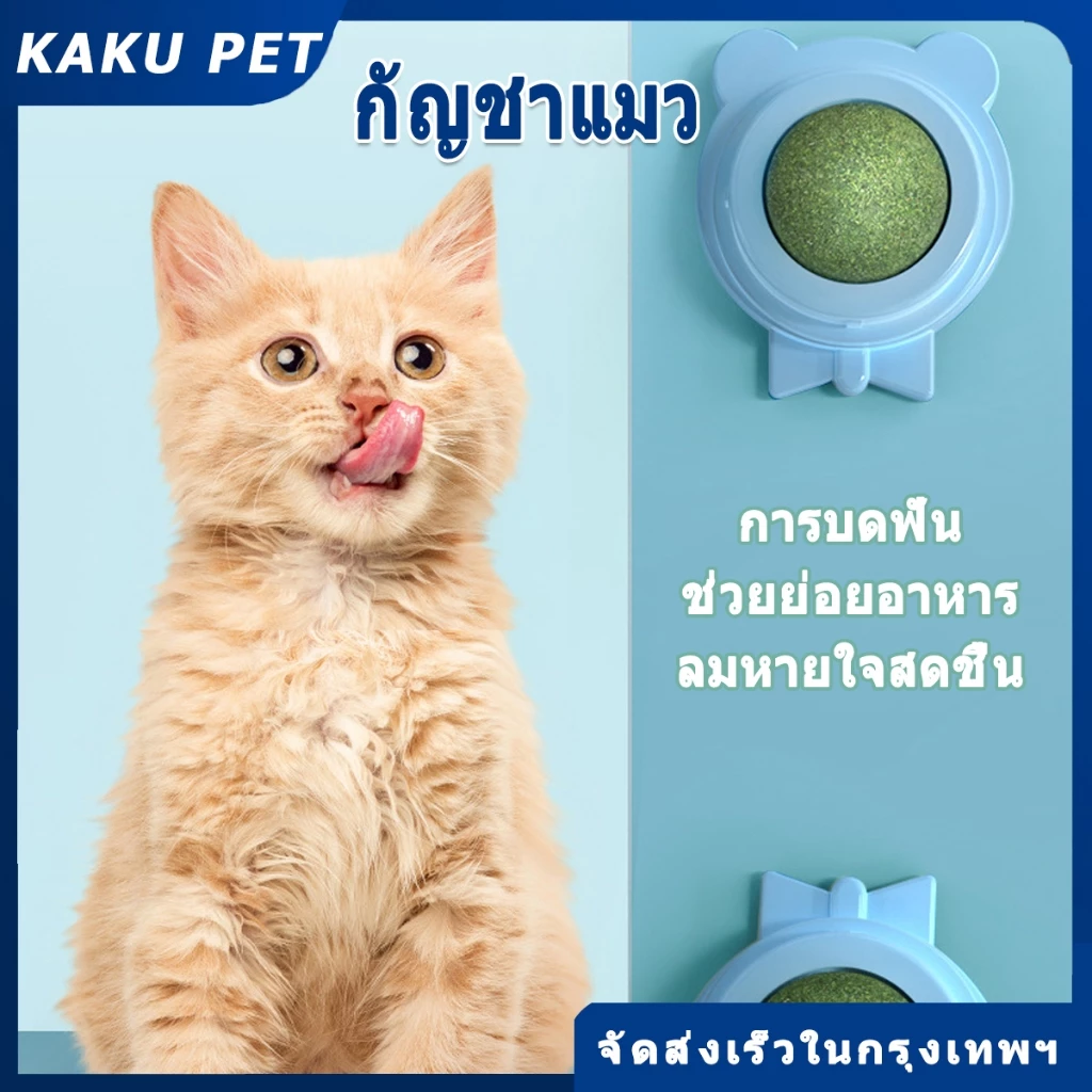 กัญชาแมว หญ้าแมว กันชาแมว กัญชาเเมว แคทนิปแมว catnip ball กันชาแมวส่งฟรี กัชชาแมว กันชาแมวเลีย แคทนิปบอล ติด แคทนิปบอล