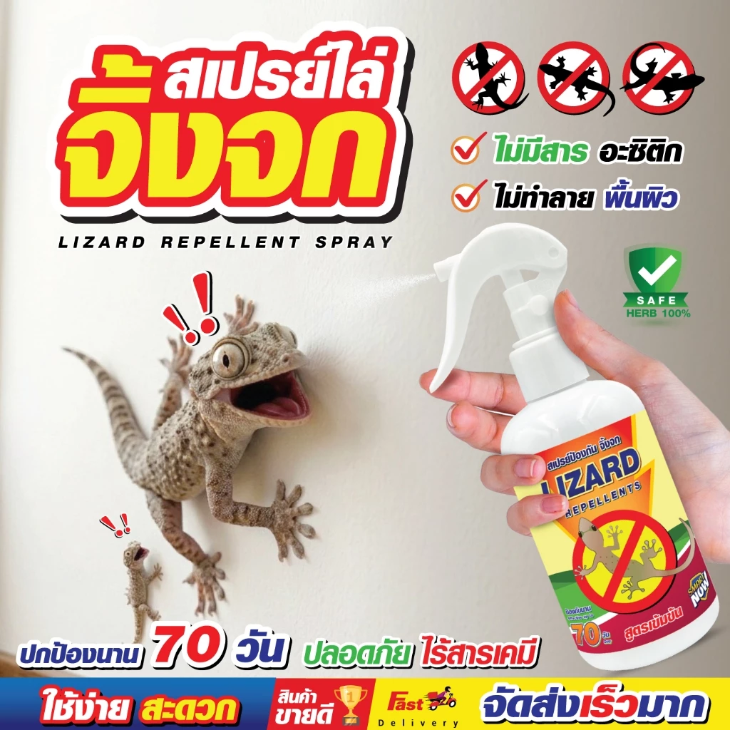 ไล่จิ้งจก สเปรย์ป้องกันจิ้งจกขี้ ฉีดพ่นตามเพดาน กำแพง ซึมลึก นาน70วัน