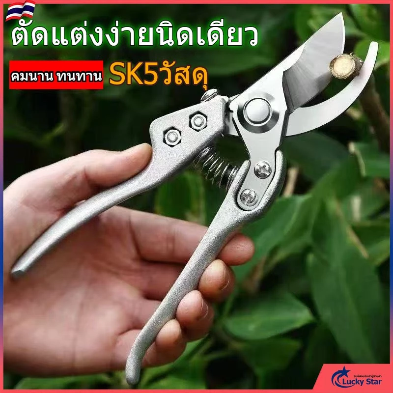 กรรไกรตัดกิ่งไม้ กรรไกรตัดหญ้า แต่งสวน กรรไกรตัดกิ่ง sk5 กรรไกรสวน กรรไกรตัดกิ่ง อุปกรณ์ทำสวน อุปกรณ์สวน