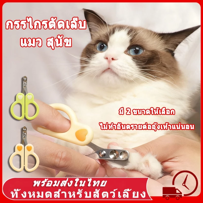 ️ กรรไกรตัดเล็บ แมว สุนัข ปลอดภัย ใช้ง่าย กรรไกรตัดเล็บแมว ตัดเล็บสุนัข กรรไกรตั
