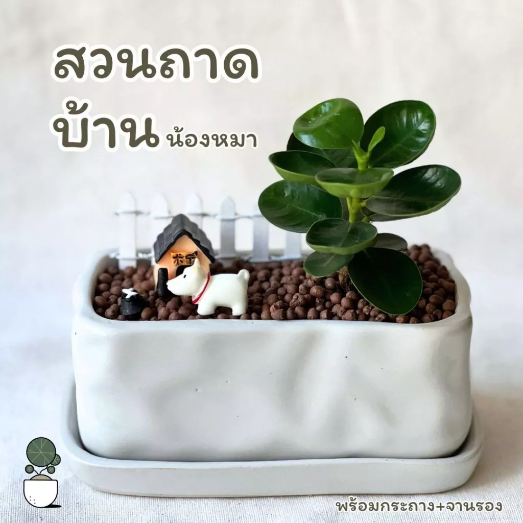 ต้นไม้สวนถาดบ้านน้องหมา ได้ครบชุด กระถางเซนามิก+จานรอง+ชุดบ้านน้องหมา+ต้นไม้มงคล ต้นไม้ตั้งโต๊ะทำงาน — ของมงคลหมวดการงานและธุรกิจ