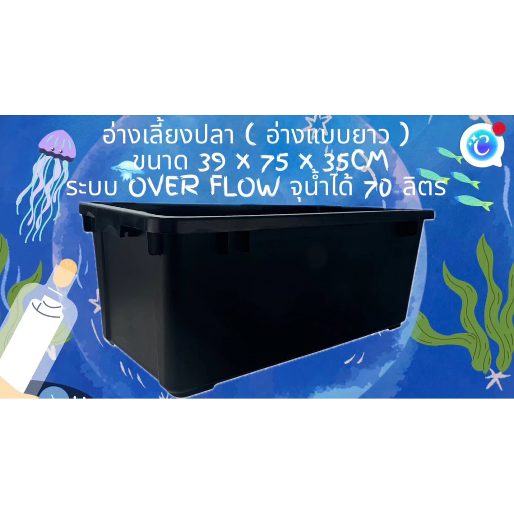อ่างเลี้ยงปลา 70 ลิตร ระบบoverflow 39x 75x 31cm อ่างเปล่า อ่างปลา อ่างเลี้ยงปลา กะบะปลา อ่างปลาบอลลูน อ่างปลาเมกาดะ ปลา — ของมงคลหมวดบ้านและฮวงจุ้ย