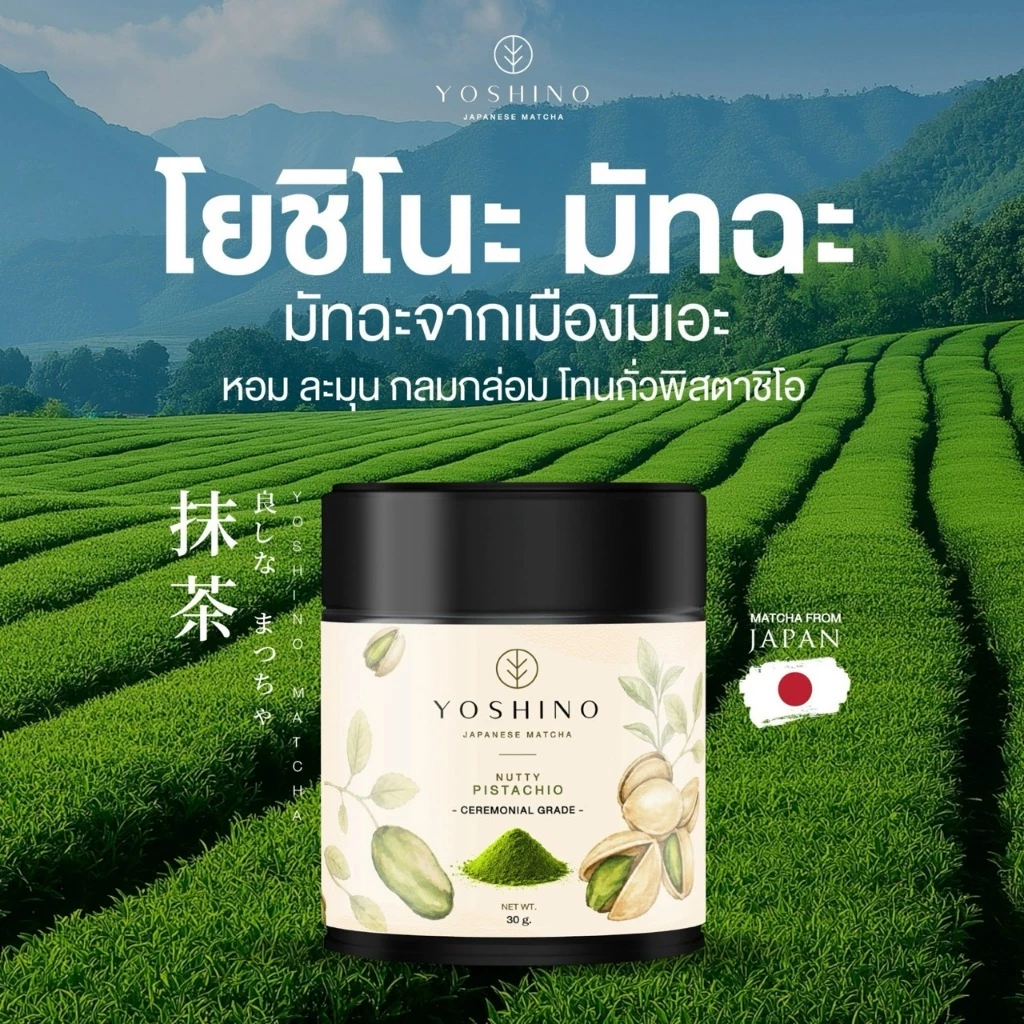 โยชิโนะ มัทฉะ มัทฉะโทนถั่ว YOSHINO Pistachio จากญี่ปุ่น️ มัทฉะ ของแท้ ขนาด 30กรัม