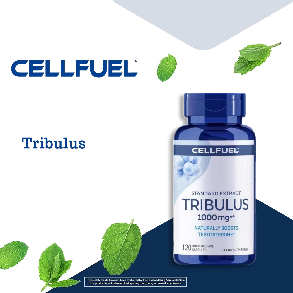 Tribulus USA Import Fitness Enhancer อาหารเสริมสนับสนุนฟิตเนส