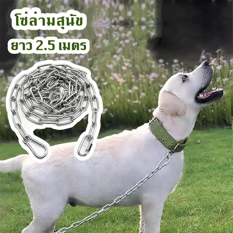 ซ่หมา 2.5เมตร ขนาดโซ่ 3มิล🐕เหล็กชุบสังกะสี โ เหมาะสำหรับสุนัข โซ่จูงสุนัข โซ่หมา โซ่ล่าม