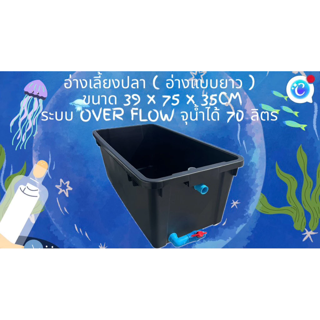 อ่างเลี้ยงปลา 70 ลิตร ระบบoverflow 39x 75x 31cm ท่อวาล์วฟ้า อ่างปลา อ่างเลี้ยงปลา กะบะปลา อ่างปลาบอลลูน อ่างปลาเมกาดะ — ของมงคลหมวดบ้านและฮวงจุ้ย