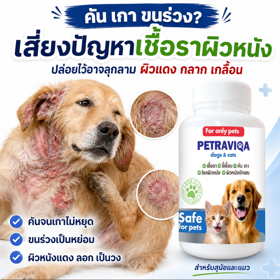 เสริมอาหาร ดูแลเชื้อราสุนัข แมว ลดคัน เกา ขี้เรื้อน โรคผิวหนัง ขนร่วง ปลอดภัย