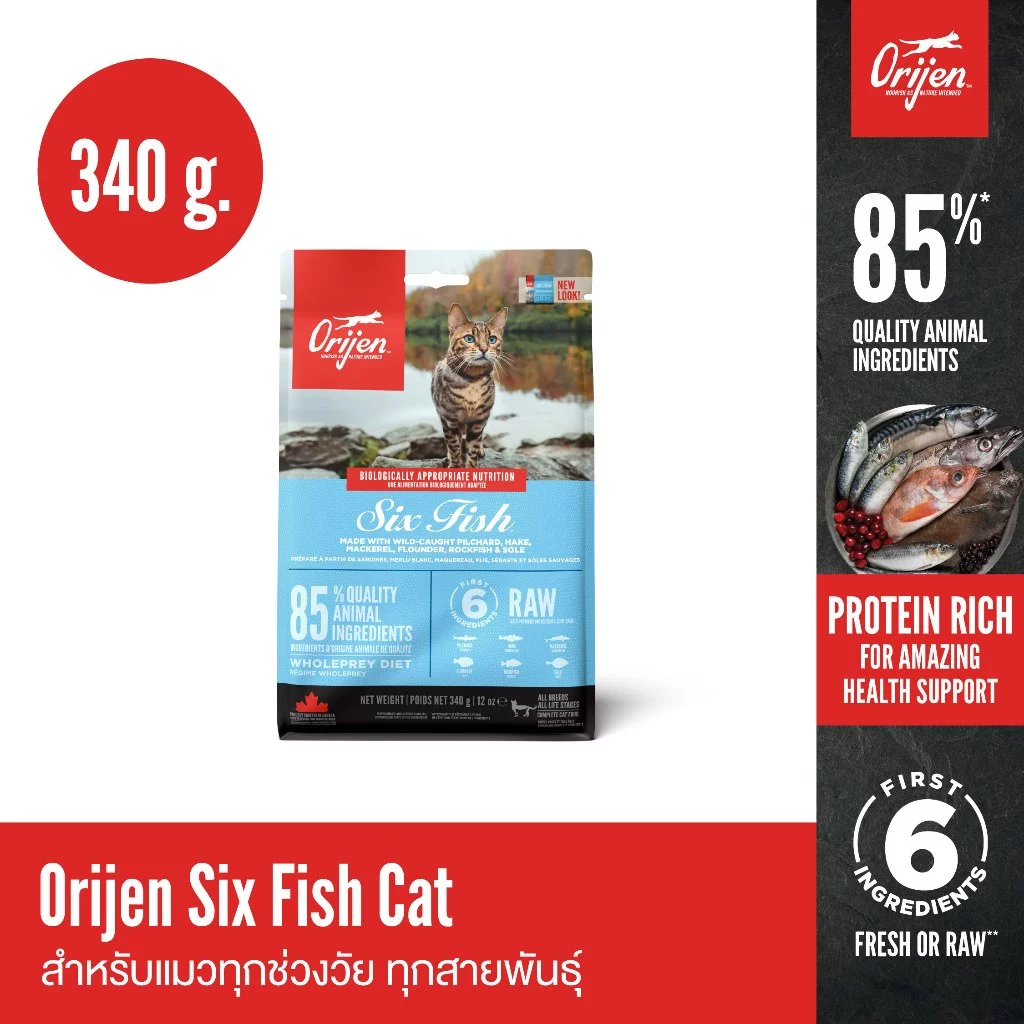 ORIJEN Six Fish Cat 340 กรัม โอริเจน ซิกซ์ ฟิช สำหรับแมวทุกช่วงวัย ทุกสายพันธุ์