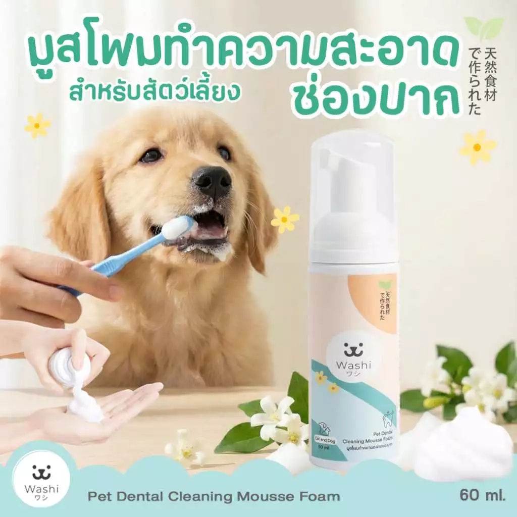 Washiワシ มูสโฟมทำความสะอาดช่องปากและฟัน สัตว์เลี้ยง ช่วยให้เหงือกและฟันสะอาด ลดกลิ่นปาก โฟมแปรงฟัน แมว สุนัข — ของมงคลหมวดบ้านและฮวงจุ้ย