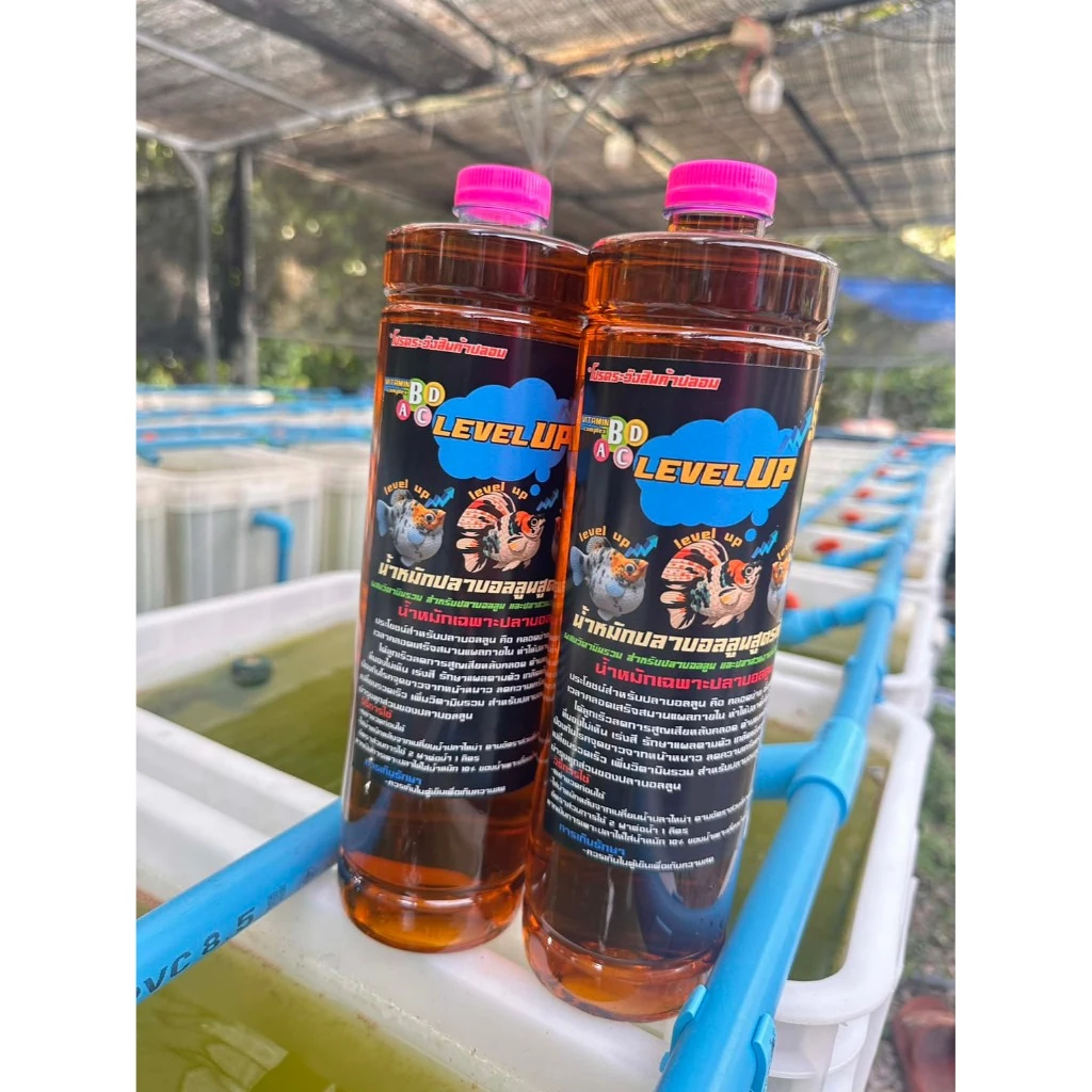 น้ำหมักปลาบอลลูน ผสมวิตามินรวม ช่วยไม่ให้ปลาอั้นคลอด เร่งสี ขยายพันธุ์ได้ไว ต้านแบคทีเรีย