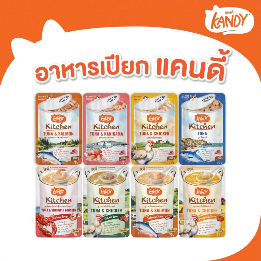 Kandy Kitchen Cat Wet Food อาหารแมวแคนดี้ ชนิดเปียก ขนาดซองละ 70 กรัม สำหรับแมวอายุ 2 เดือนขึ้นไป