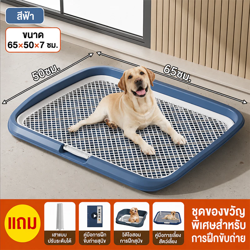 ห้องน้ำหมาขอบสี่เหลี่ยม มีเสาแถมให้ในชุ ถาดรองฉี่สุนัข ถาดรองฉี่หมา ห้องน้ำสุน ห้องน้ําสุนัข ถาดรองฉี่หมาใหญ่ วัสดุ PP
