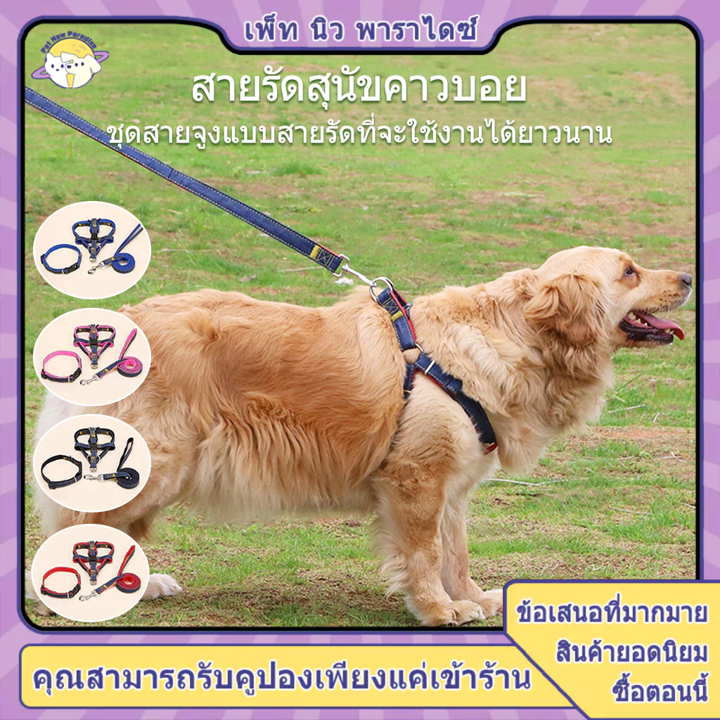 สายจูงสุนัข สายจูงหมา เชือกหมา สายจุงสุนัข สายรัดอก รัดอกสุนัข เชือกจูง สุนัขพันธุ์เล็ก-ใหญ่ มี 4 สี