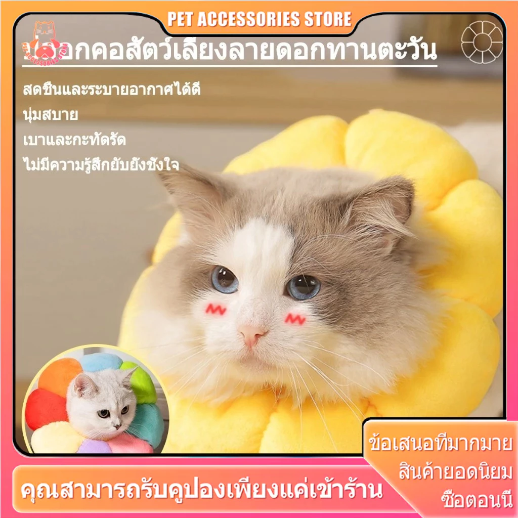 คอลล่าแมว กันเลียแมว ลําโพงแมว กันเลีย ลําโพงหมา ปอกคอแมว คอล่าแมว คอลล่าสุนัข คอลล่า คลอล่าแมว