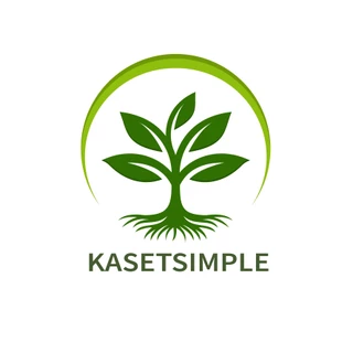 kasetsimple