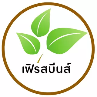 First Beans ถั่วเพาะงอก
